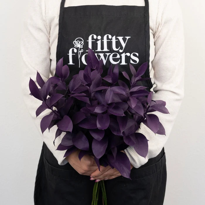 Plum Noir Tinted Ruscus Greenery Apron - Image