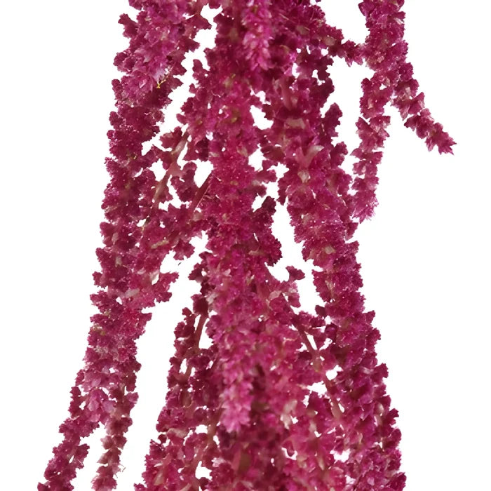 Red Hanging Amaranthus Fresh Autumn Greens