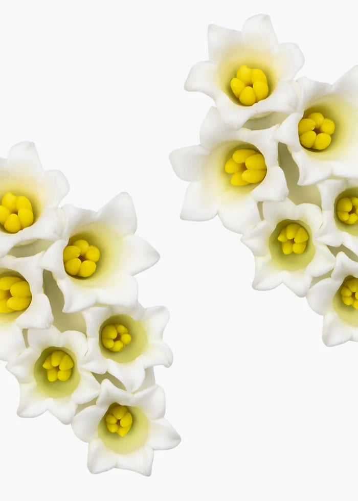 lily
