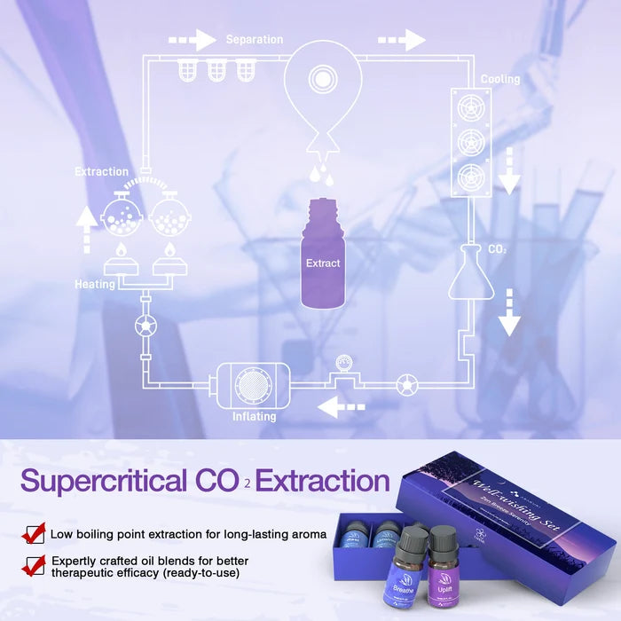Well-Wishing Essential Oils Set 6pcs*10ml
