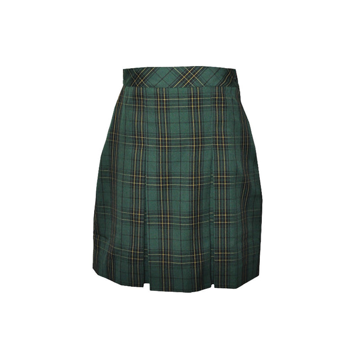 Winter Tunic/Skirt