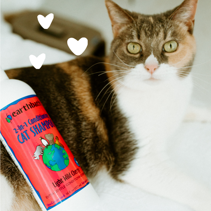 Cat with hearts and 2 in 1 Cat Shampoo next to it
