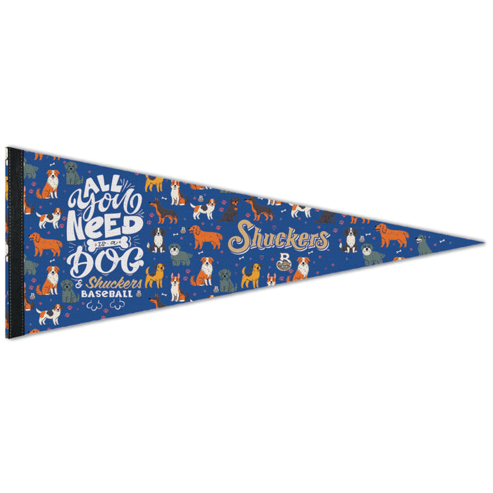 Biloxi Shuckers Pennant