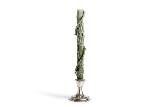 Bittersweet Oak Colossal Taper / Forest Green / Single