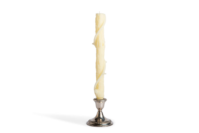 Bittersweet Oak Colossal Taper / White Chocolate / Single