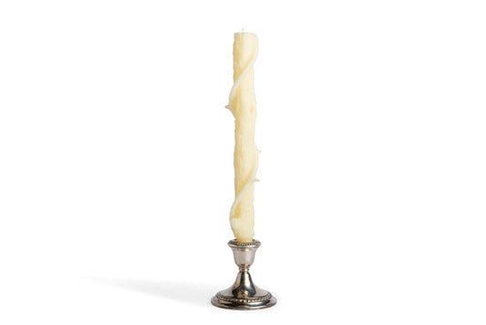 Bittersweet Oak Colossal Taper / White Chocolate / Single