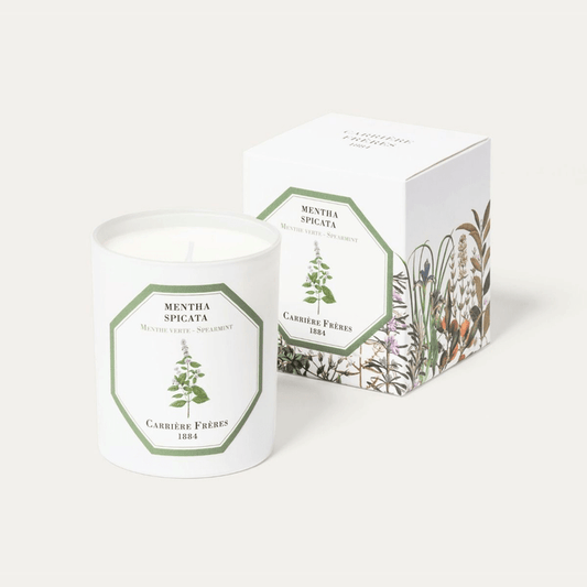 Carrière Frères | Spearmint Candle