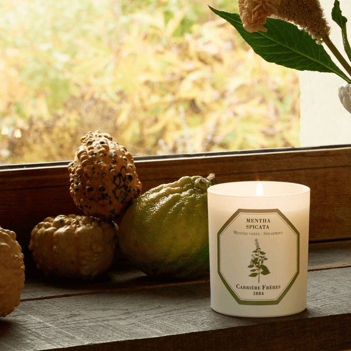 Carrière Frères | Spearmint Candle