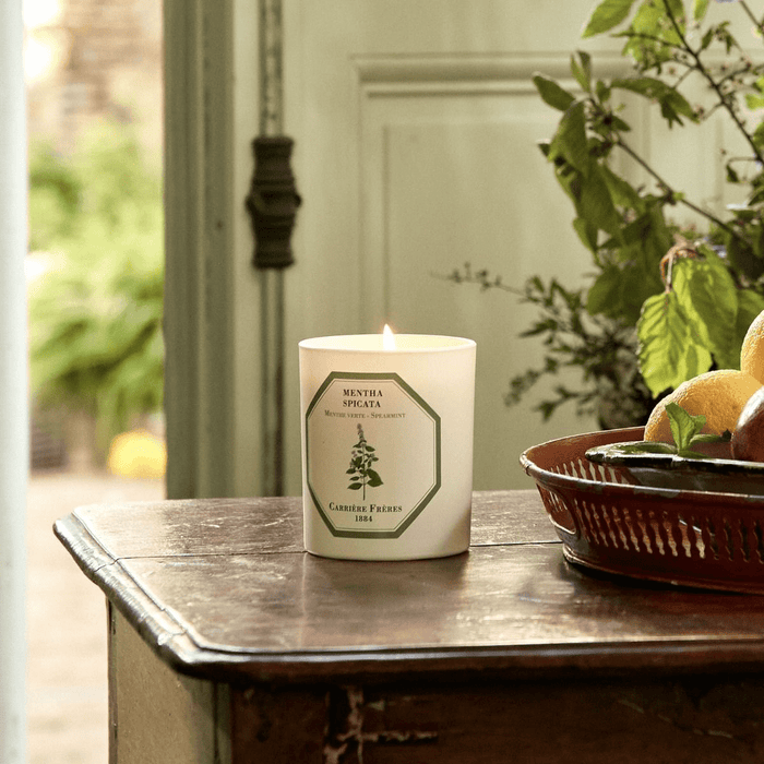 Carrière Frères | Spearmint Candle