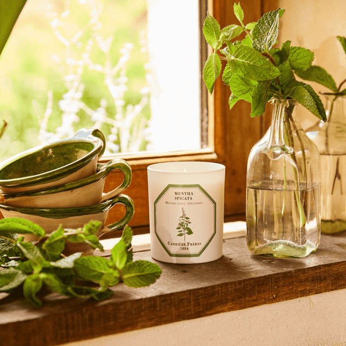 Carrière Frères | Spearmint Candle