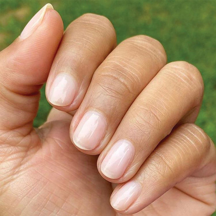 Hand showing nails painted with CCT sheer neutral pastel pink for a natural and feminine manicure look