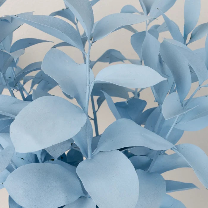 Cool Blue Tinted Ruscus Greenery Close Up - Image