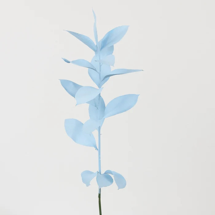 Cool Blue Tinted Ruscus Greenery Stem - Image