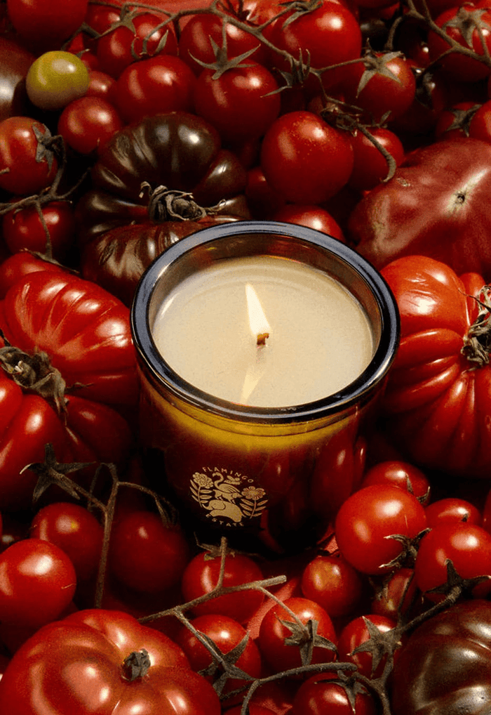Flamingo Estate | Roma Heirloom Tomato Candle