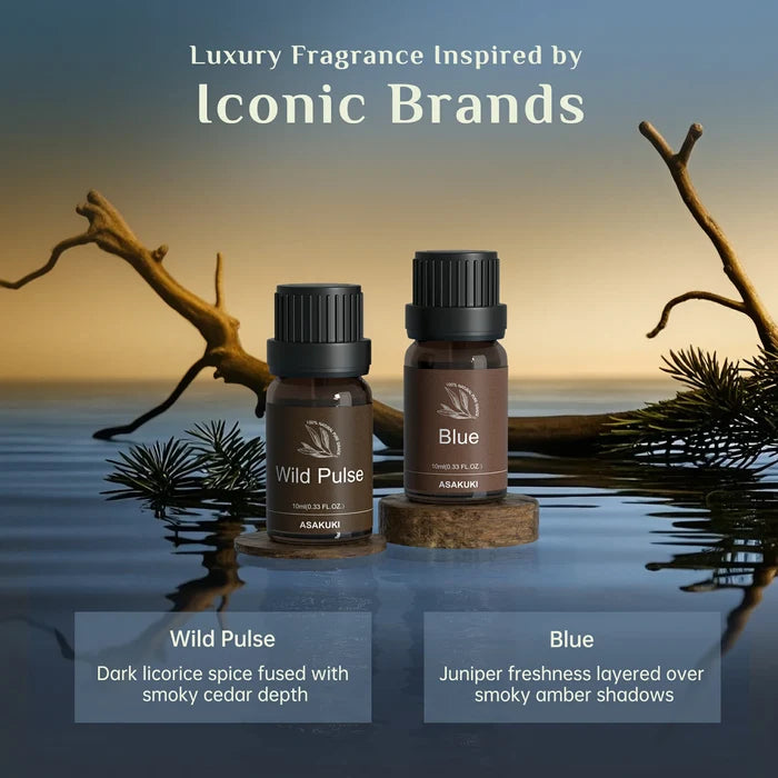 Gentleman’s Codes Essential Oil Set 6pcs*10ml