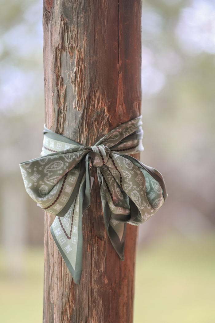 Green Paisley Twilly