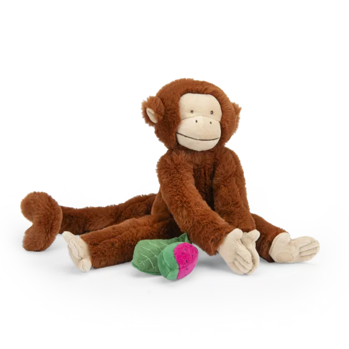 Moulin Roty - Hanging Activity Toy - Mochica Monkey