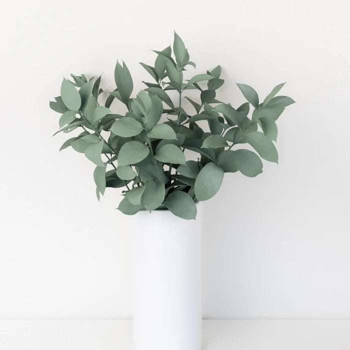 Jade Tinted Ruscus Greenery Vase - Image