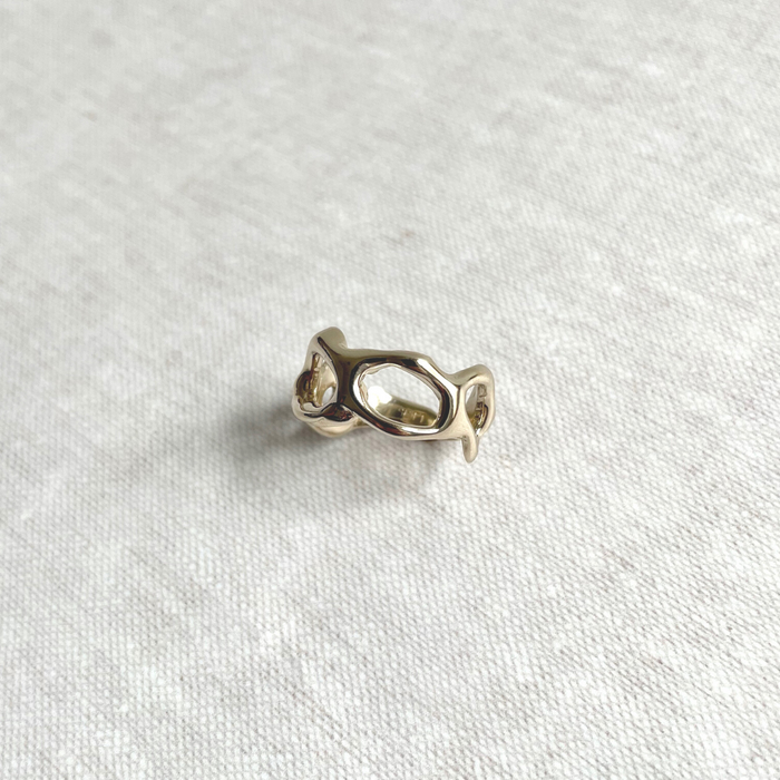 Species by the Thousands gold chain link ring.