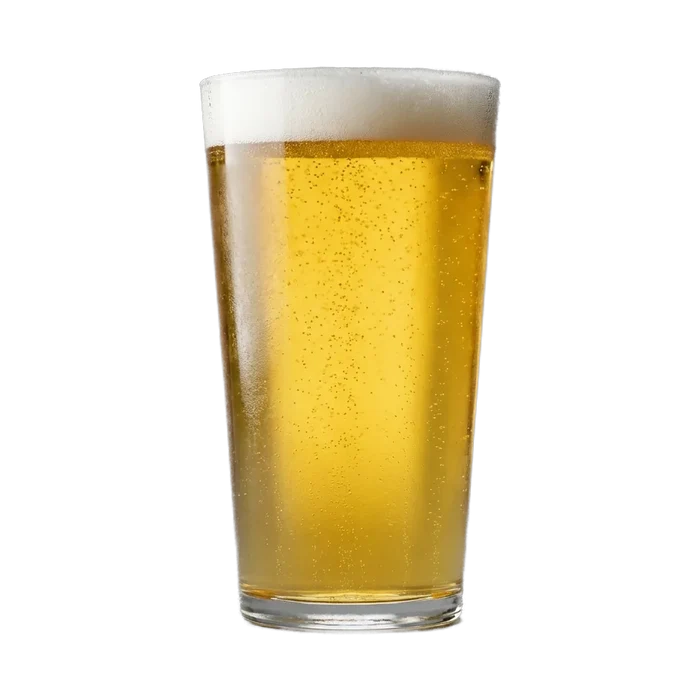 Martin's Centennial Blonde Recipe Kit