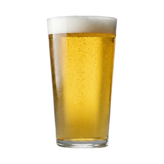 Martin's Centennial Blonde Recipe Kit