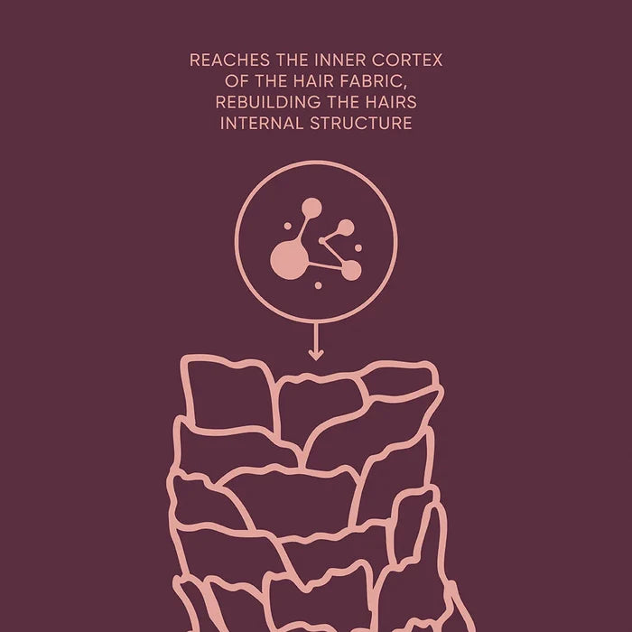 Illustration of hair structure with text on a dark red background