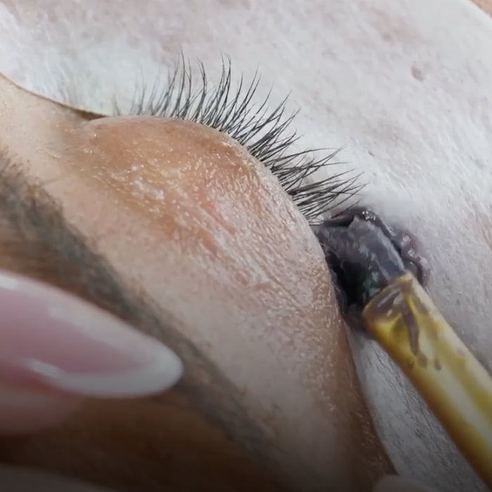 Online Lash & Brow Tint & Wax Training Course with Kit