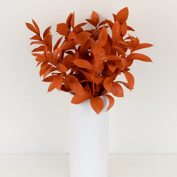 Persimmon Tinted Ruscus Greenery Vase - Image