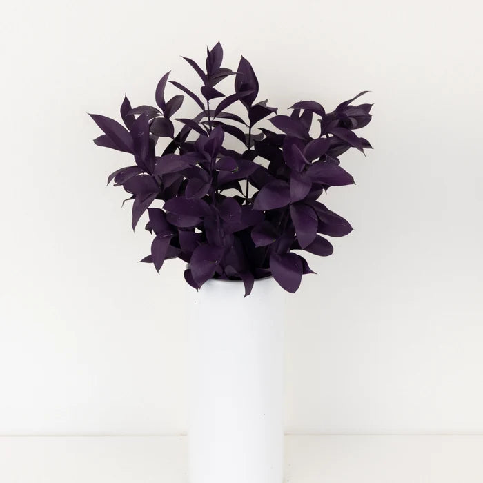 Plum Noir Tinted Ruscus Greenery Vase - Image
