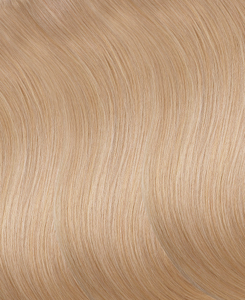 ponytail - honey blonde.