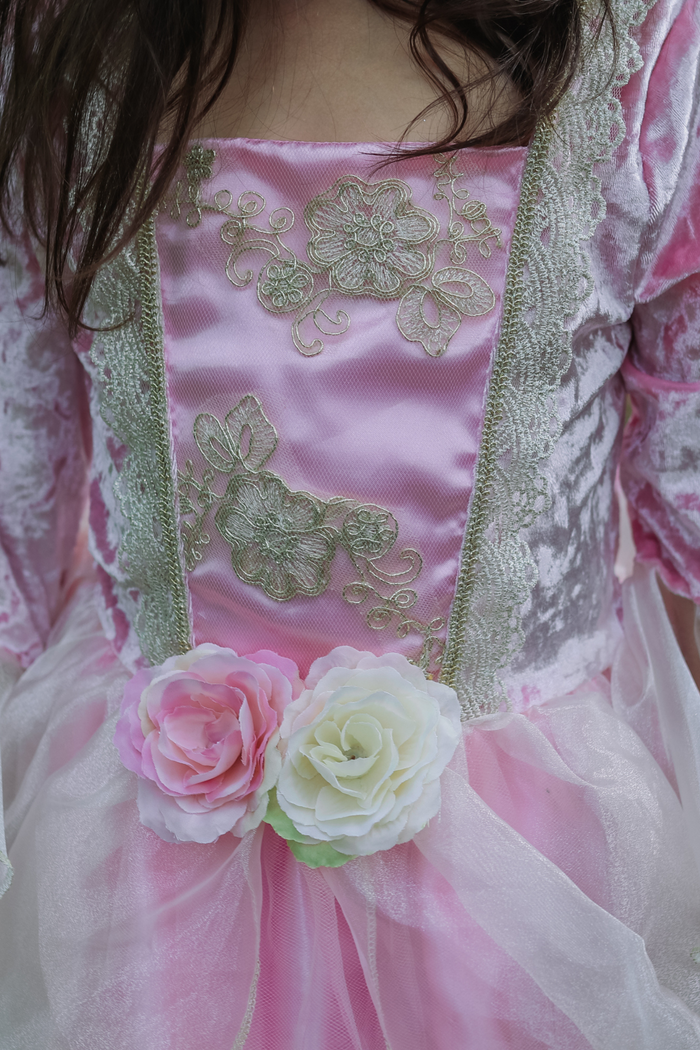 Rose Princess Dress