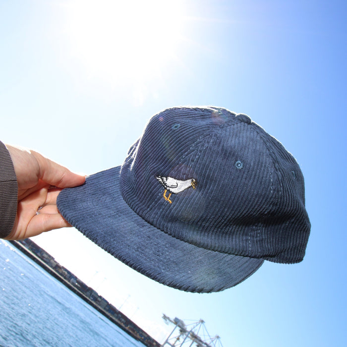 Blue cap held by a hand with a clear blue sky and water background