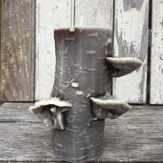 The 72 Hour Birch Pillar / Dark Chocolate
