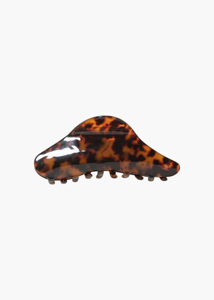 tortoise