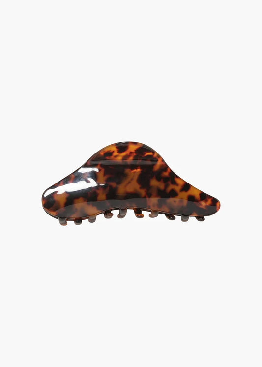 tortoise