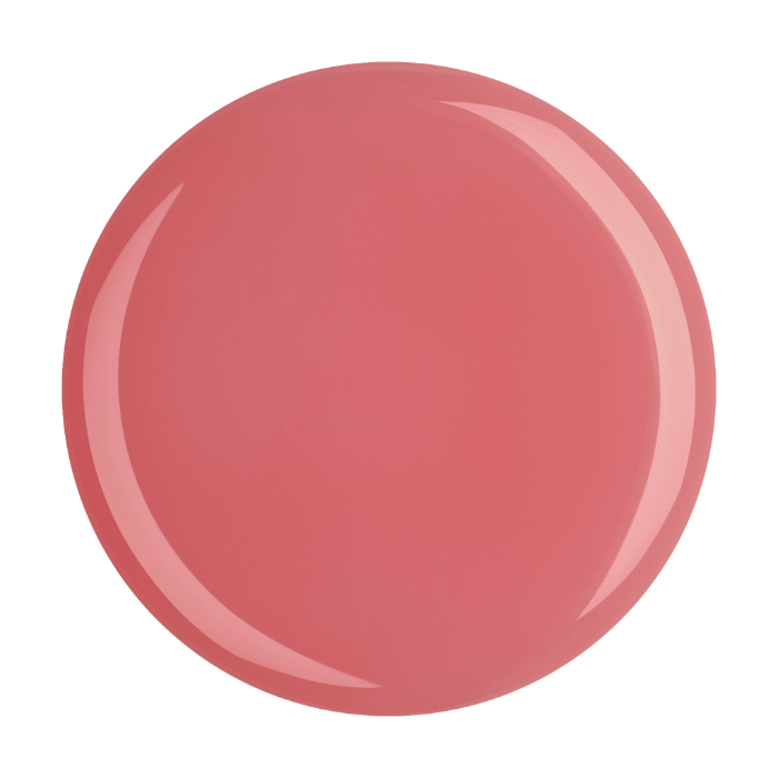 Veto Box Vol. 4 - AcrylGel Collection