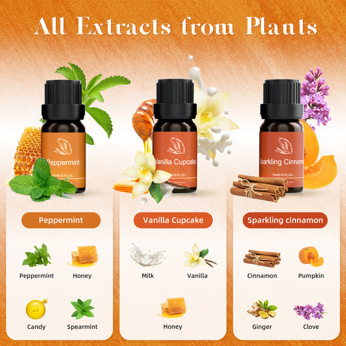 Warm Bliss Essential Oils Set 6pcs*10ml