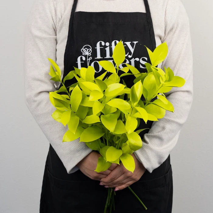Wasabi Tinted Ruscus Greenery Apron - Image