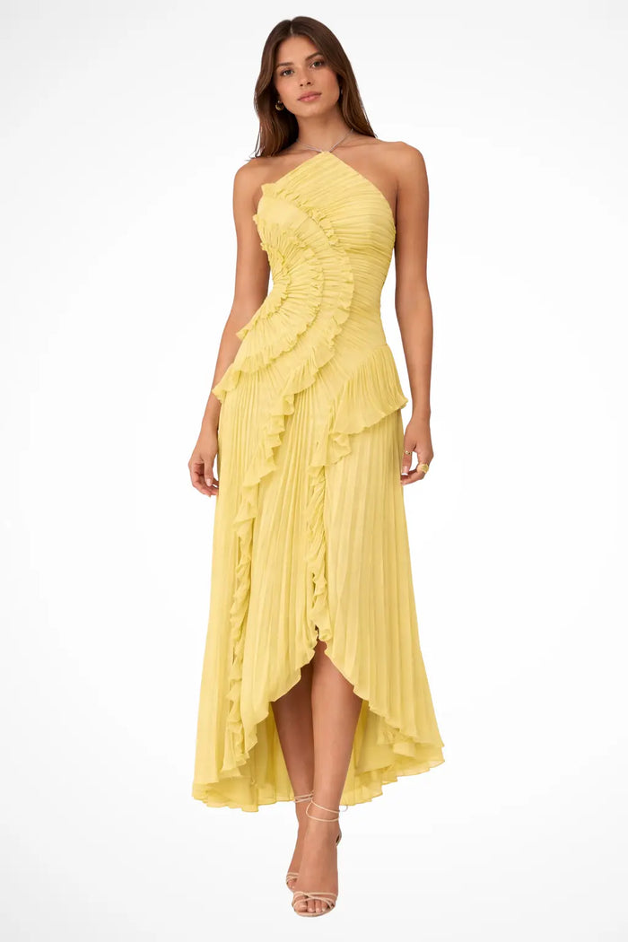 Women’s pleated fabric maxi dress with layered ruffle halter style, featuring flowing design and elegant details.